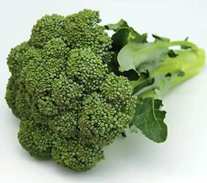 Urja F1 Hybrid Festival Broccoli Seeds, Early Green with Fine Beads, Best Variety - Image 3