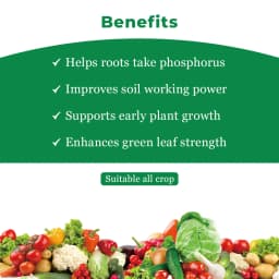 Dr. Bacto\'s PSB, Phosphate Solubilizing Bacteria Organic Fertilizer, Harmless, Eco-friendly, And Low-Cost Agro-Input. 4