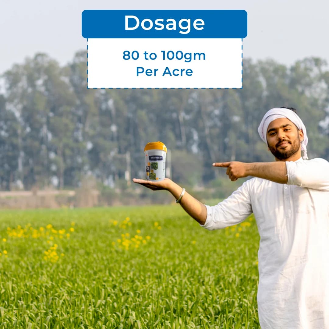 FMC Chemdoot Emamectin Benzoate 5% SG Insecticide , It Controls The Caterpillars Present On The Lower Surface Of The Leaves - Image 5