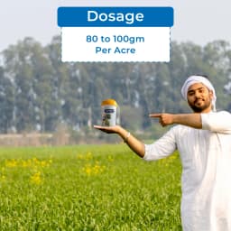 एफएमसी केमडूट एम्मेक्टिन बेंजोएट 5% एसजी कीटनाशक, पत्तियों के निचले हिस्से में मौजूद इल्ली को नियंत्रित करता है 5