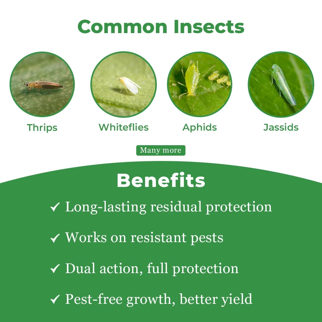 JU Thiola Thiamethoxam 12.6% + Lambda Cyhalothrin 9.5% ZC Insecticide, Effective For Sucking Pests And Caterpillars Pest Control In Crop - Image 3