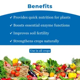 Insta Ammonium Molybdate, Essential Nutrient Of Plant, Help Faster Growth of Plant 4