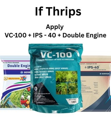 VC-100 IPS Combo Green for 200 Ltr Spray. Best Control on Virus in Chilli & Capsicum. Not Applicable with Fungicides