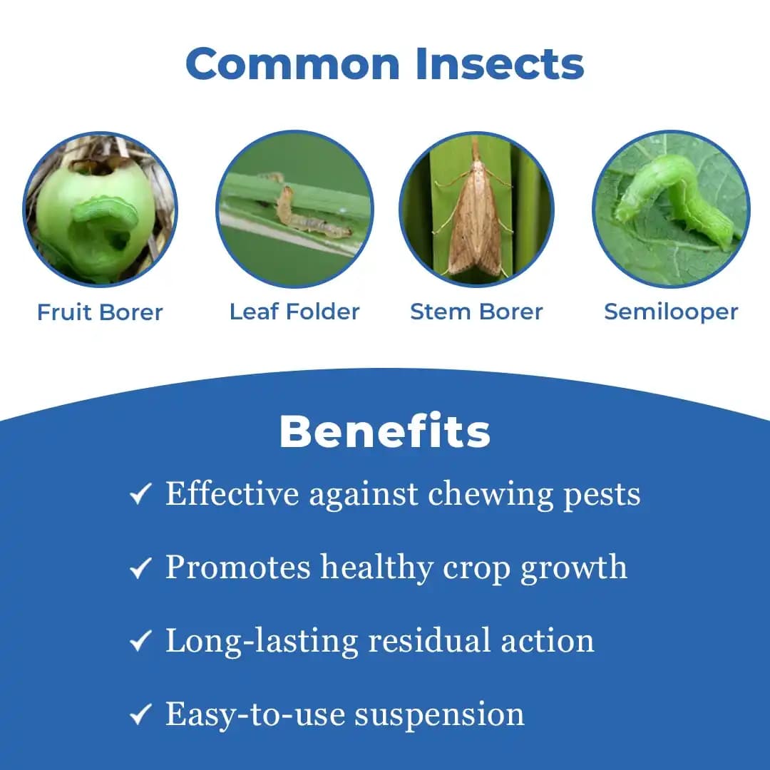 Multiplex Raise - Chlorantraniliprole 18.5% SC, Systemic and Contact Insecticide - Image 3