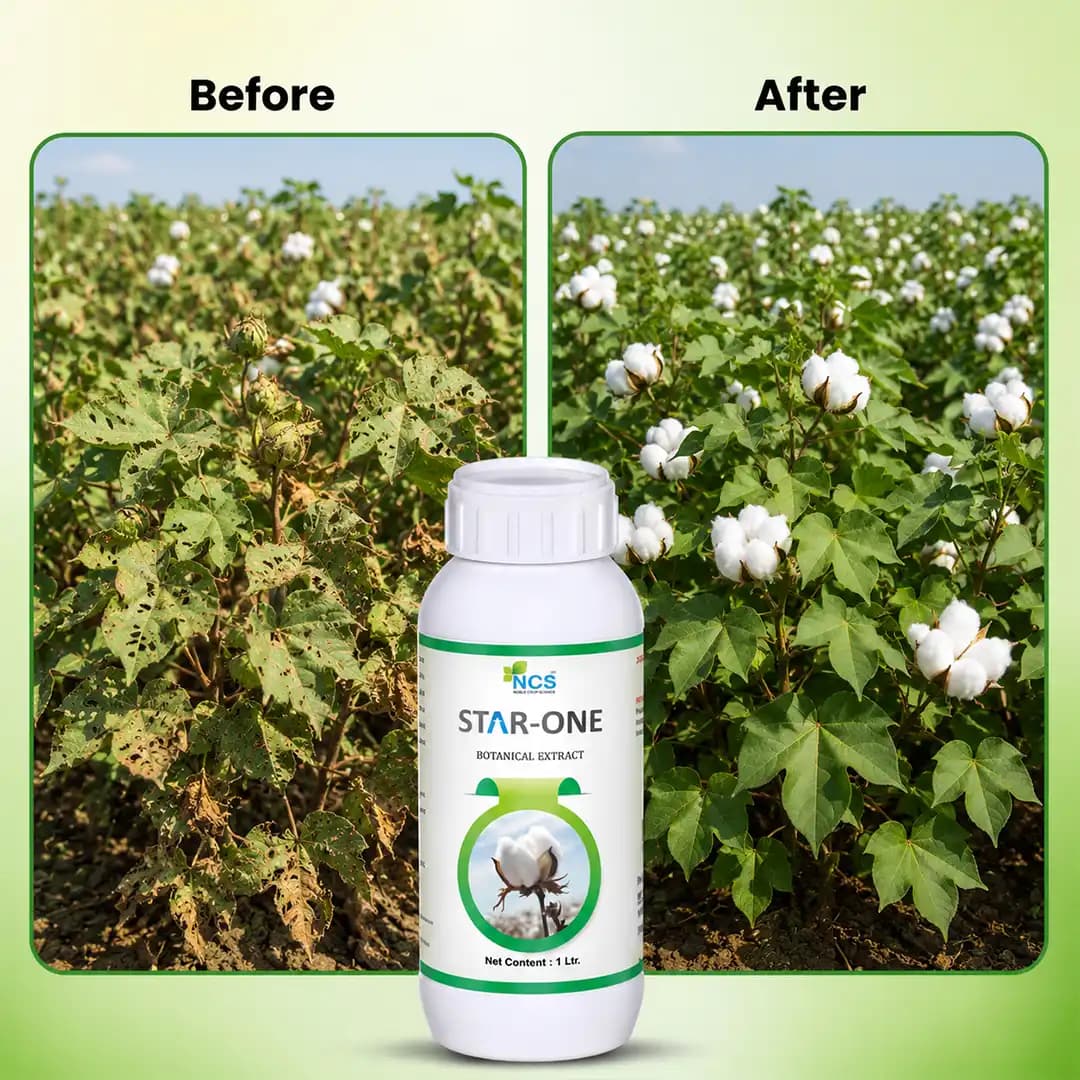 Star-One - Botanical Extract - Image 7