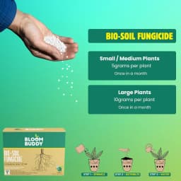 BloomBuddy Trichoderma Viride 1.5% WP Biofungicide, Disease Prevention & Plant Growth Promotion 5