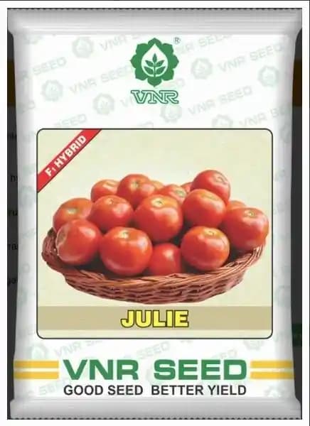 VNR Julie F1 Hybrid Tomato Seeds, Tamatar Ke Beej, Round Shape, Good Tolerance to TLCV