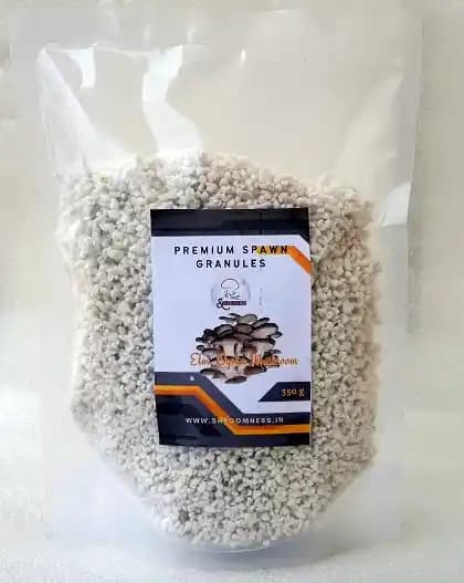 SporeKart Elm Oyster Mushroom Spawn, Cost Effective, High Quality Cultivation Of Mushroom - Image 2