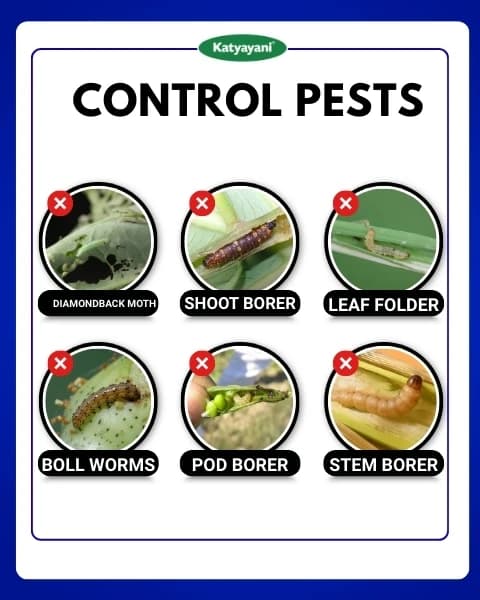 Katyayani Chakraveer Chlorantraniliprole 18.5% SC Insecticide, Advanced Effective Pest Control and Crop Protection - Image 3