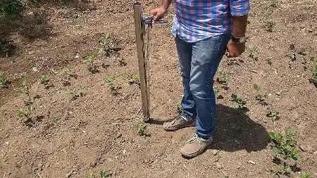 Hectare Vegetable Transplanter, Stainless Steel Material, Suitable for Transplanting Vegetables - Image 7