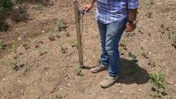 Hectare Vegetable Transplanter, Stainless Steel Material, Suitable for Transplanting Vegetables 7