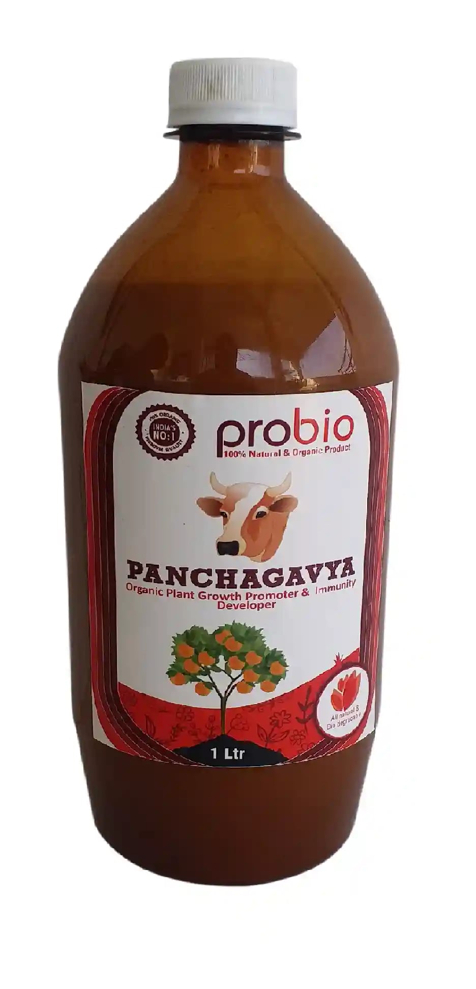 Panchagavya (Growth Promoter and Immunity Provider). organic product has the potential to play the role of promoting growth and providing immunity.