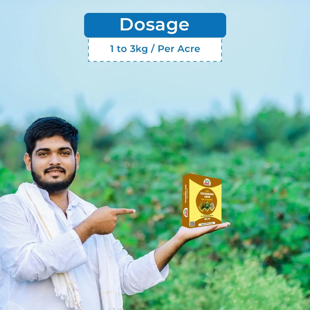 ईबीएस ट्राइकोडर्मा विराइड - 5x108 जैव कवकनाशी, फलों और सब्जियों की फसल पर मिट्टी और बीज जनित रोगों को नियंत्रित करता है। - Image 5