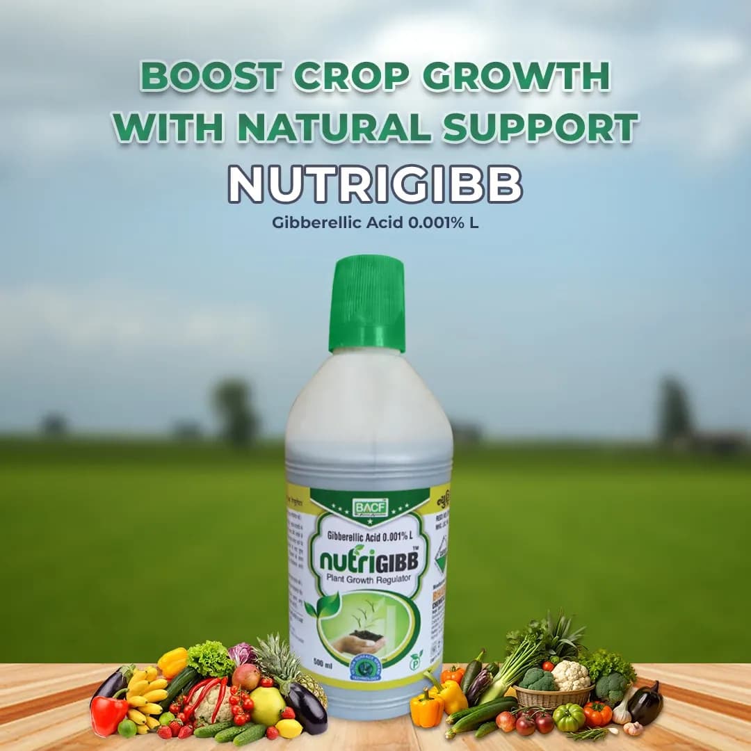 BACF Nutrigibb Gibberellic Acid 0.001% L, Plant Growth Regulator, For Better Yield - Image 2