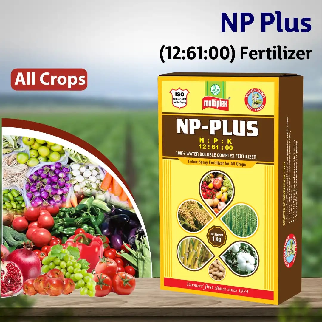 Multiplex NP-Plus Npk 12:61:00 Fertilizer, Nitrogen And Phosphorus For Better Root Growth, Higher Yield