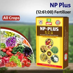 Multiplex NP-Plus Npk 12:61:00 Fertilizer, Nitrogen And Phosphorus For Better Root Growth, Higher Yield 2