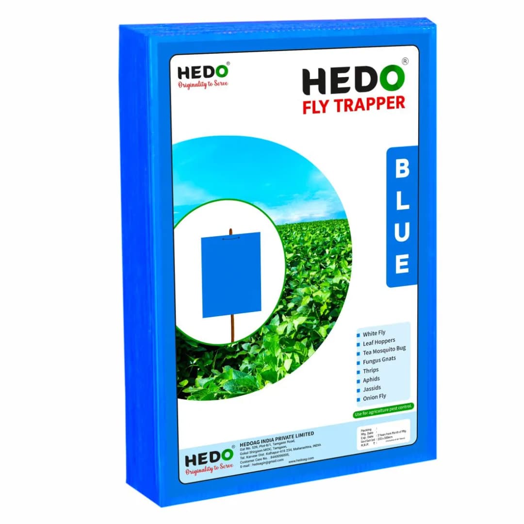 HEDO Eco A4 Size Blue Sticky Trap For Thrips, Aphids, Jassids & All Harmful Flying Insects, Best For Organic Vegetable And Fruits Farming Pest Control - Image 2
