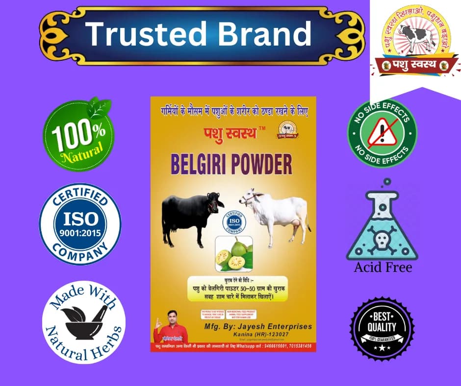 PASHU SVASTH BELGIRI POWDER, Pure Natural Herbs, Natural Cooling And Digestive Support For Animals - Image 6