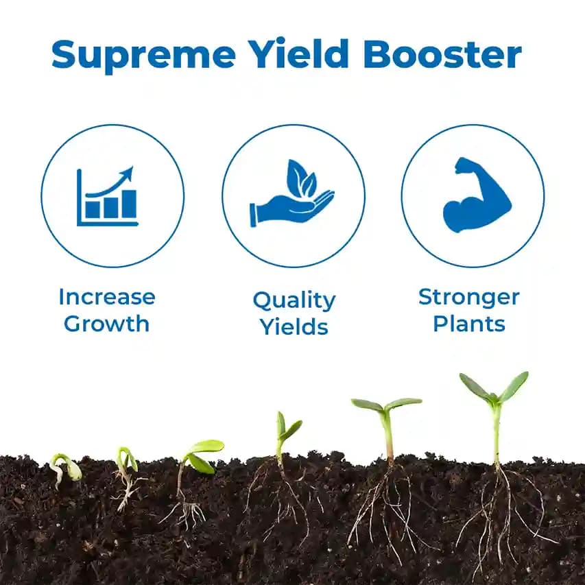 Insta Bor 20% Disodium Octaborate Tetrahydrate, Boron 20% For Development Of Roots, Fruit Growth - Image 3