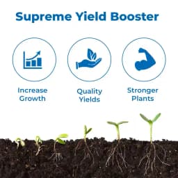 Insta Bor 20% Disodium Octaborate Tetrahydrate, Boron 20% For Development Of Roots, Fruit Growth 3