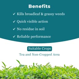 Nathsagar 7T ONE Glyphosate 71% SG , Non Selective Post Emergence Herbicide 4