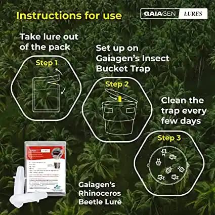 Gaiagen RB Lure , Pheromone Lure For Rhinoceros Beetle Outdoor Plants (Oryctes Rhinoceros) and Insect Bucket Trap, IMO Certified. - Image 7