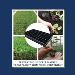 शिवसूरज 77 कैविटी सीड्लिंग ट्रे, वर्गाकार छेद वाली अंकुरण ट्रे, बीज बोने के लिए नर्सरी ट्रे। 11