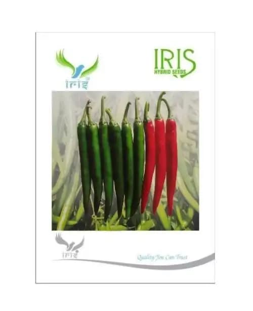 Iris Hybrid Vegetable Seeds Green Chilli (Hot Pepper), Excellent Germination - Image 1