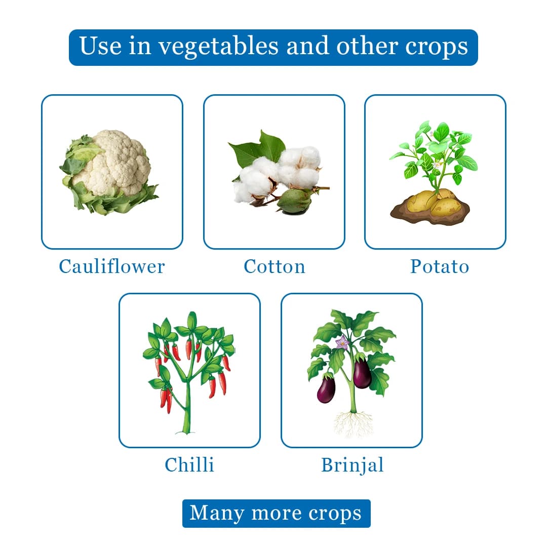 Tata Rallis Tatafen Insecticide - Image 4