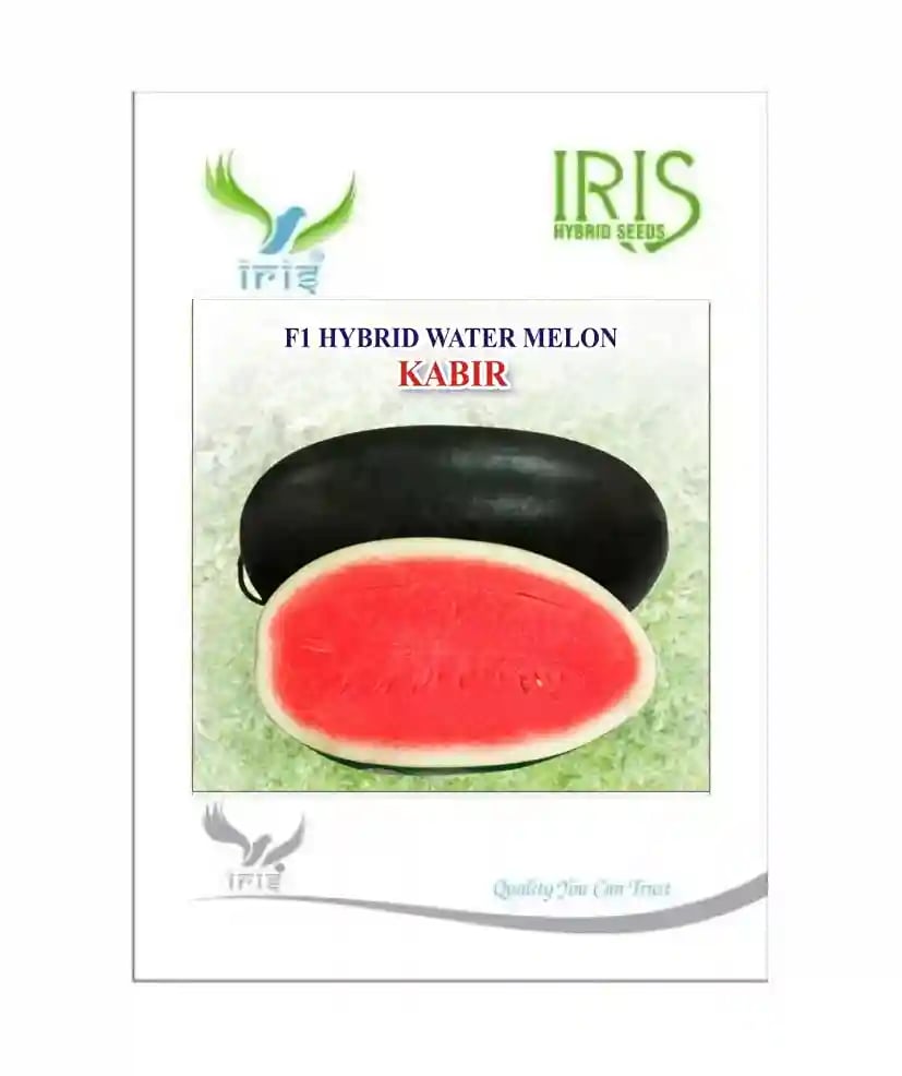 Iris Kabir Watermelon Seeds - (Tarbuj Seeds) Ice Box Segment, Vigorous, Thick Rind, Deep Red Flesh