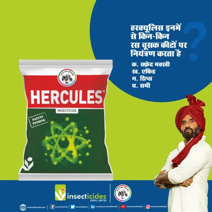 IIL HERCULES Diafenthiuron 40.1% + Acetamiprid 3.9% WP Insecticide
