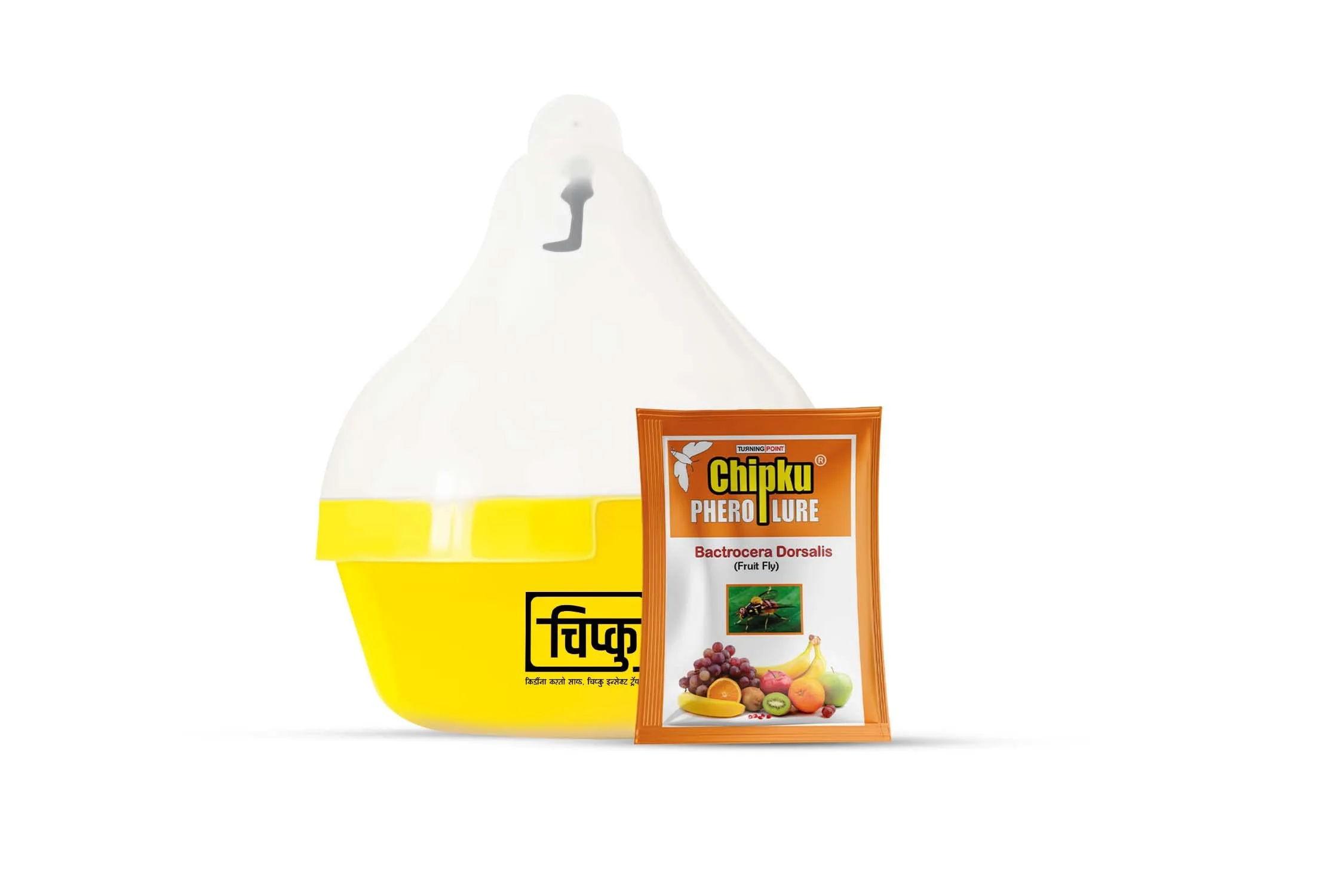 Bactrocera dorsalis Fruit Fly Trap & Lure of Turning point natural of Turning point natural