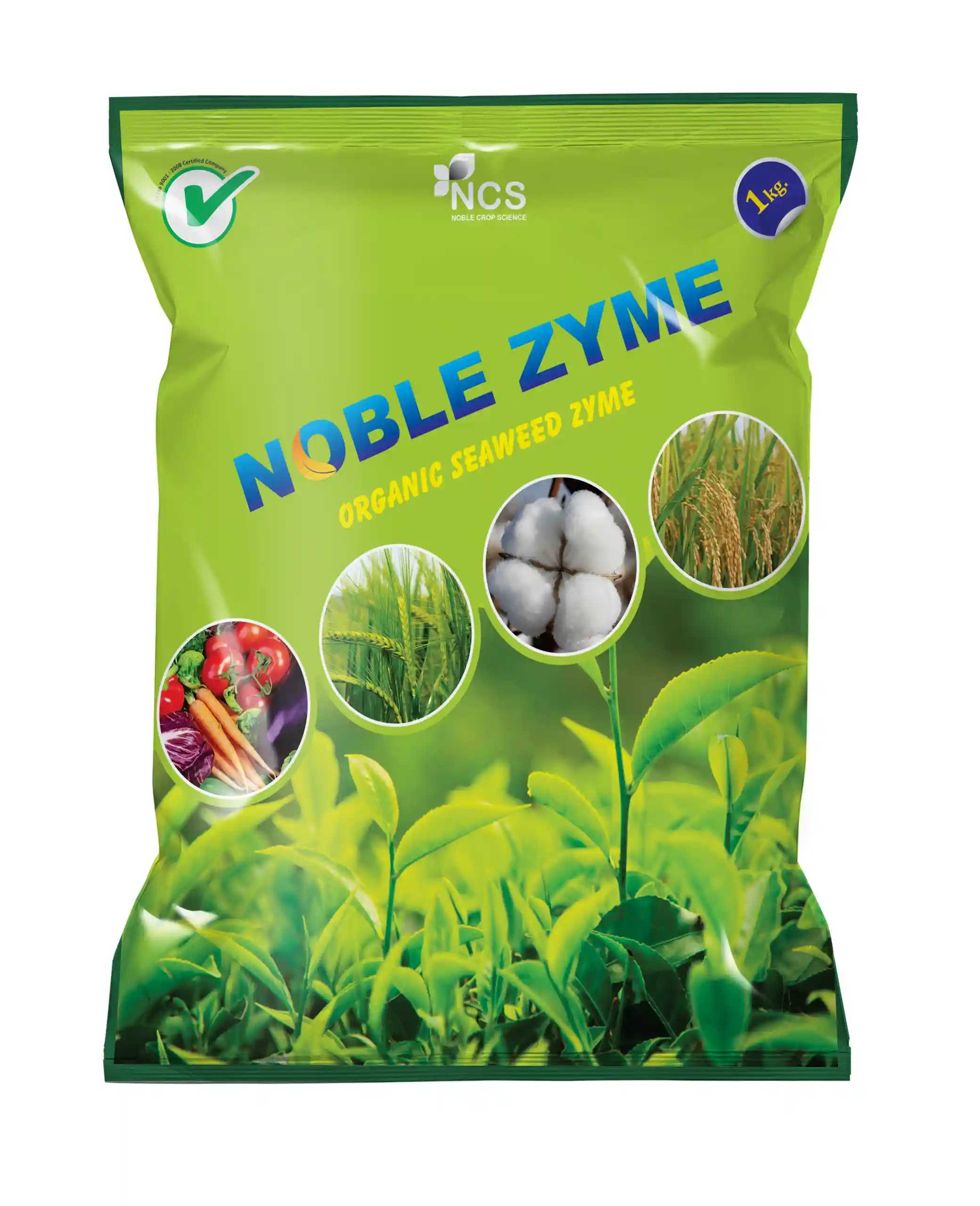 Bio Fertilizer