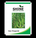 Chilli Shine 610 F1 Hybrid - Shine Brand Seeds, Mirchi Seed, Excellent Germination Quality
