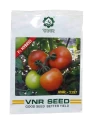 Tomato Hybrid Seeds of VNR Seeds Pvt. of VNR Seeds Pvt.