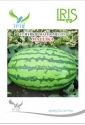 Iris Hybrid Fruit Seeds, F1 Hybrid Watermelon Seed Mallika - Green Color Ice Box Segment