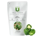 Capsicum Seeds of Urja Agriculture Company of Urja Agriculture Company