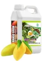 Mango Special of AMRUTH ORGANIC FERTILIZERS of AMRUTH ORGANIC FERTILIZERS