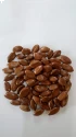 Natural Seeds of Pioneer Agro Industry of Pioneer Agro Industry