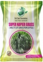SRI SAI FORESTRY Super Napier Grass Seeds for Cattle, Multi Cut Grass Seed for Animal Fodder