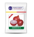 Onion Seeds of Sarpan Seeds of Sarpan Seeds