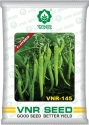 VNR Chilli 145 F1 Hybrid Seeds , Mirchi Ke Beej, Meerchi Ke Beej, Hari Mirchi Ke Beej