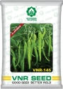 Chilli Seeds (Pungent- Hari Mirch) of VNR Seeds Pvt. of VNR Seeds Pvt.