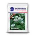 Sarpan Gomphrena-9 White Flower Seeds, Snow White, Very Attractive, Excellent Shelf Life