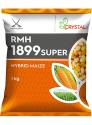Crystal F1 Hybrid RMH 1899 Super Corn Seeds, Orange With Yellow Cap, Dent Grain Color
