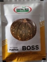 Pumpkin Seeds Boss F1 Hybrid - Safal Bio Seeds, Kaddu Ke Beej, High Yielding