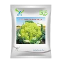 Iris Green Imported OP Cauliflower Seeds, High Yield And Attractive Green Curd