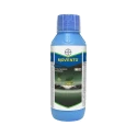 Movento OD - Spirotetramat 150 OD Excellent Control of Hidden Pests 2-Way Systemic Insecticide in the World, it translocates in the xylem and phloem.