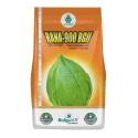 Nath Seeds Rana-900 NBC-1821 BG II Hybrid Cotton Seeds, Early Maturity, Easy Picking, High Yield (475 Gm)