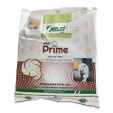 Rasi Prime RCH 947 BG II Hybrid Cotton Seeds, Big Bolls, Pest Tolerance (475 Gm)
